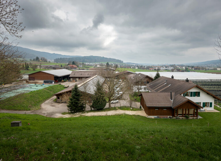 Bauernbetrieb mit Ökonomiegebäuden und Fahrsilo, Schibli Beeren AG