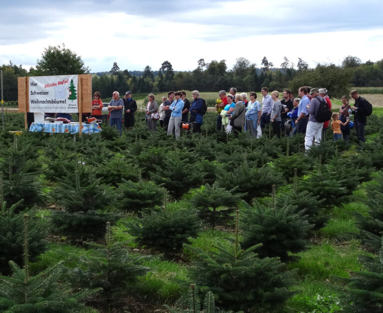 Christbaumverkauf ab Feld bei Ogg the farmer