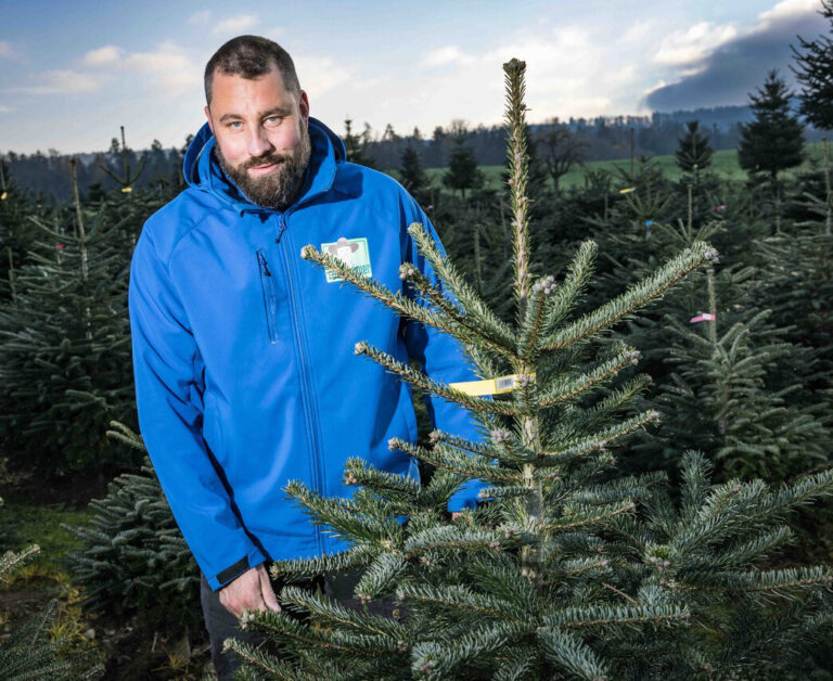 Ogg the farmer inmitten seiner Christbaumplantage