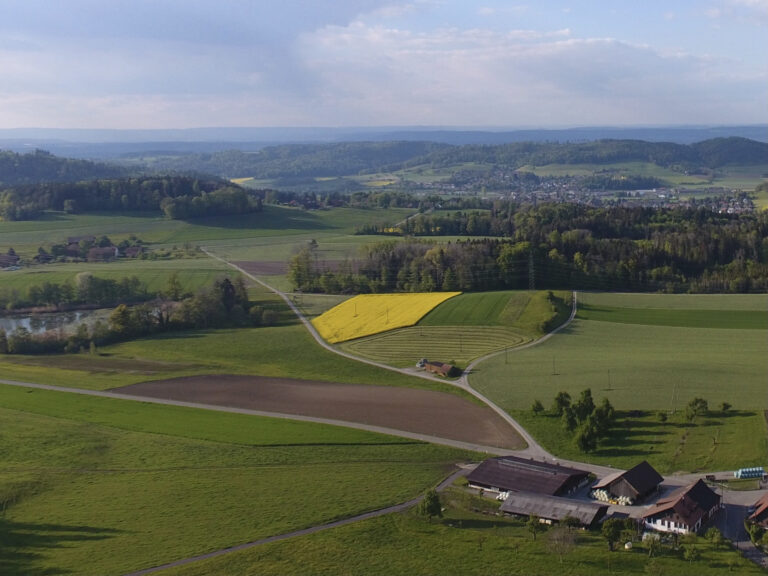 DCIM100MEDIADJI 0110