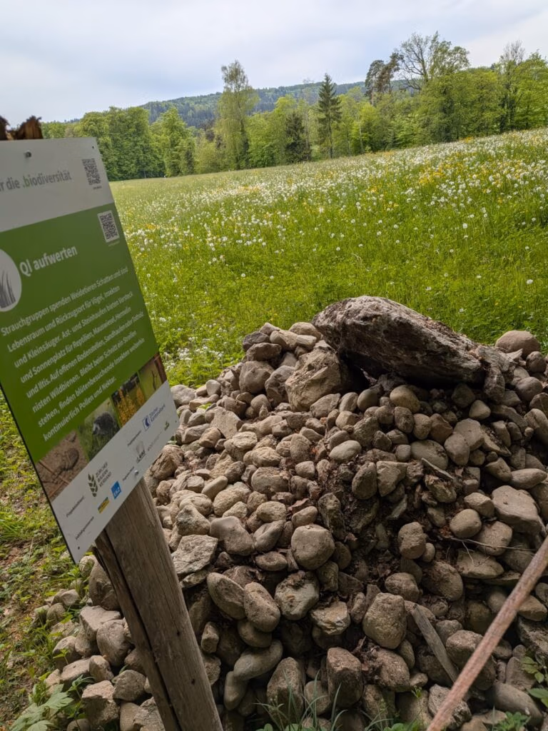 Weilenmann 982 Steinhaufen