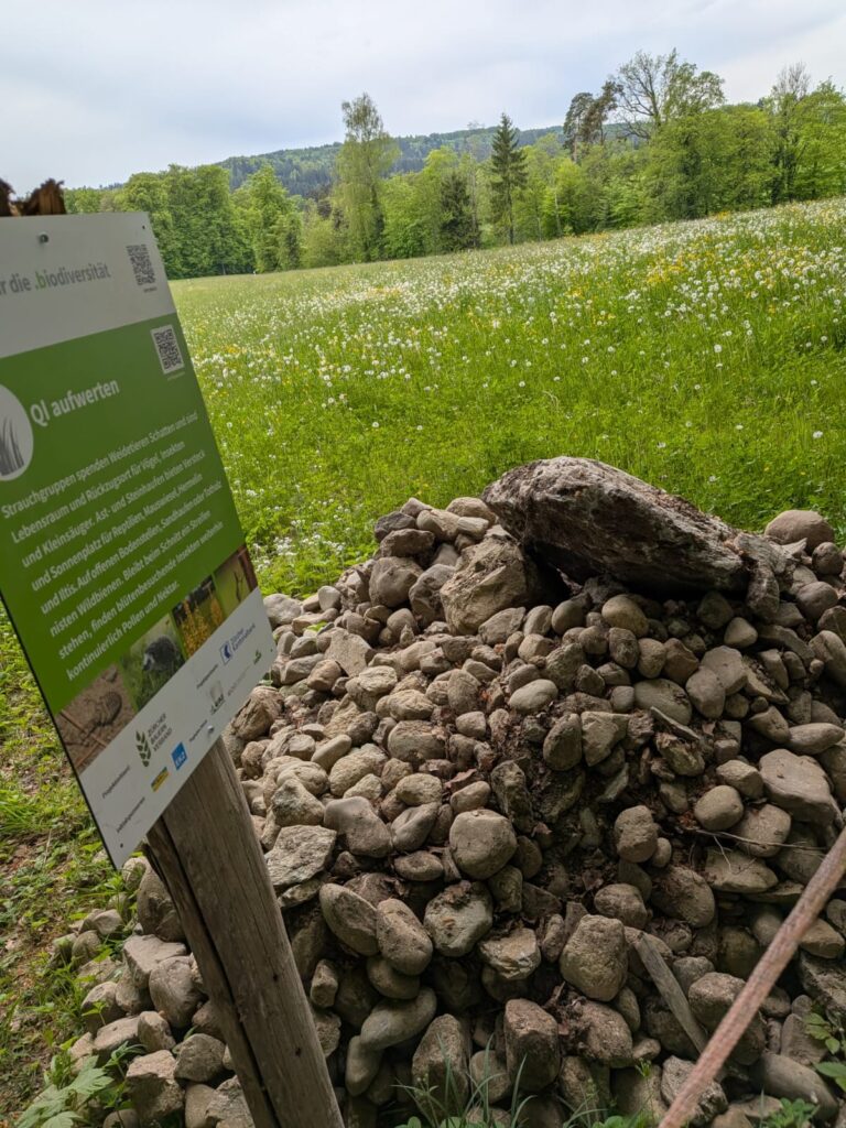 Weilenmann 982 Steinhaufen