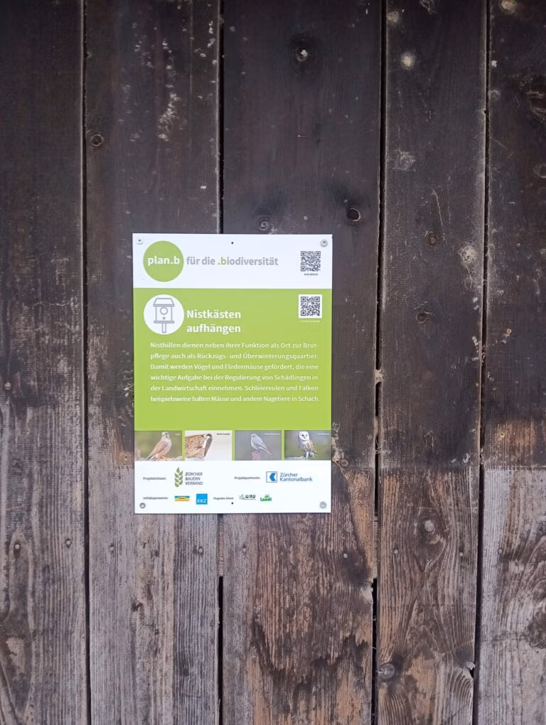 Bachmann Schild