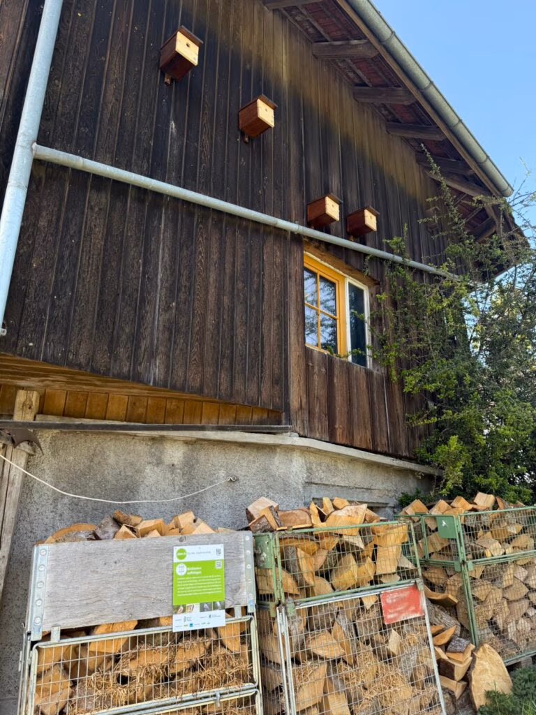 Berli Höhlenbrüter