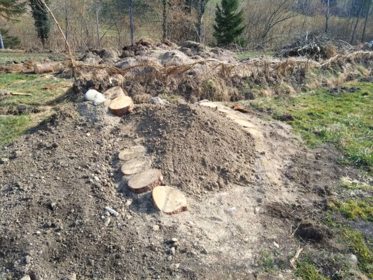 Ineichen Sandlinse
