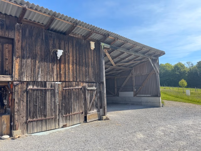 Schellenberg Fledermäuse 3